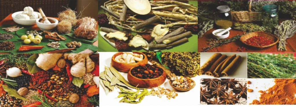 Ayurvedic Herbal Grinding Plant
