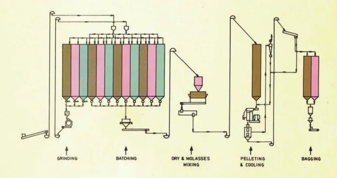Cattle & Poultry Feed Plant