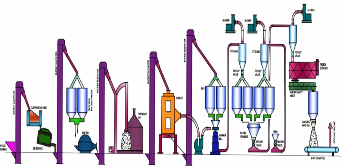 Energy Food Plant